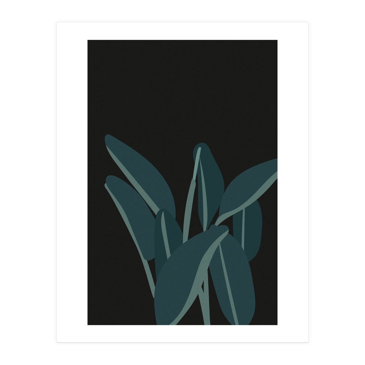 Bird Of Paradise (Print Only)