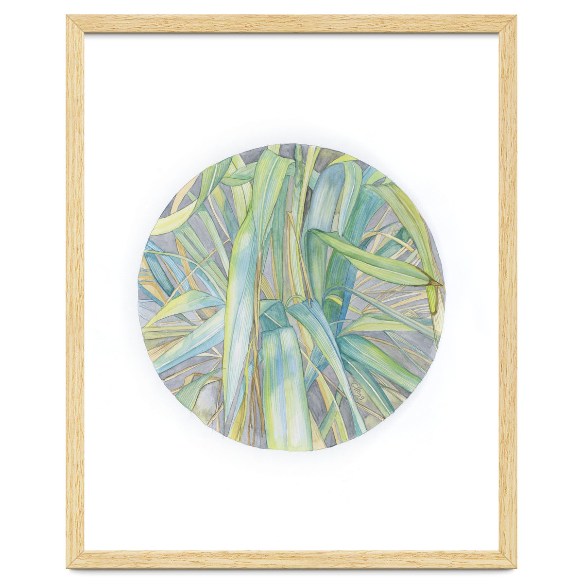 Grasses In The Late Summer Light