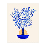 Indigo Ficus Sunrise (Print Only) thumbnail