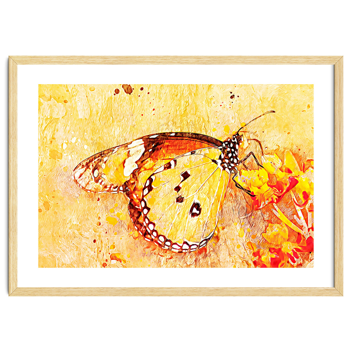 Butterfly On Aclepias