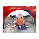 Bald Eagle (Print Only) thumbnail