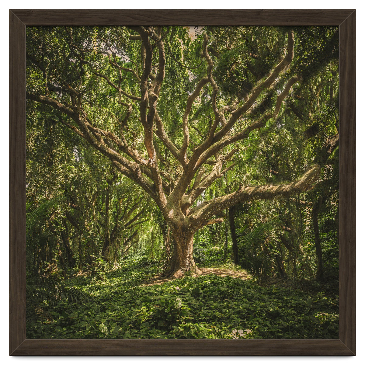 Spirits inside the wood