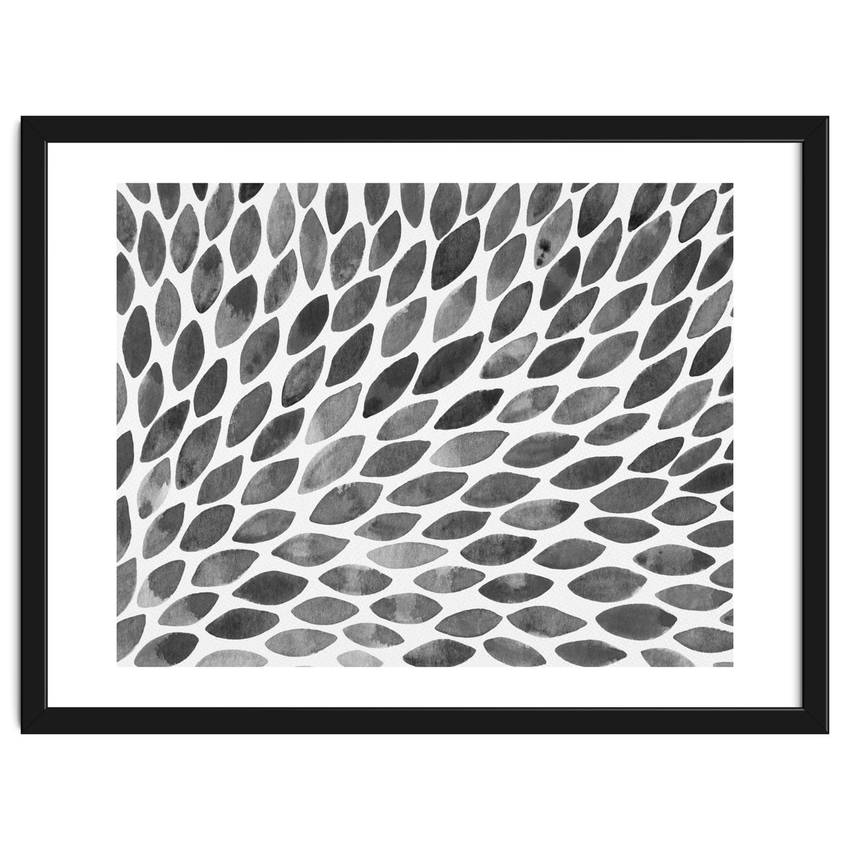 Black and white petal burst