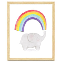 Rainbow Elephant