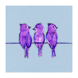 Three purple birds (Print Only) thumbnail
