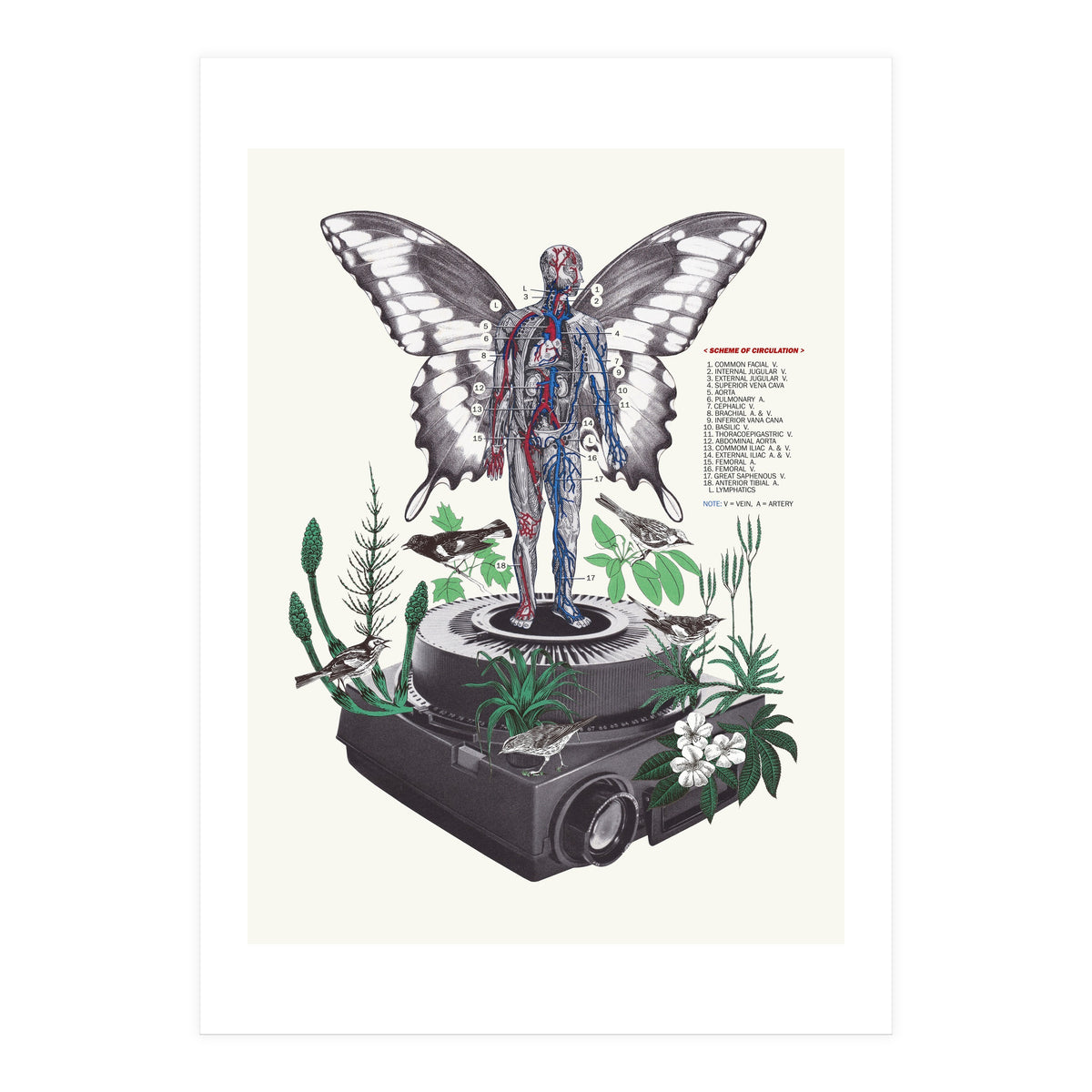 Hologram (Print Only)