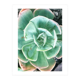 68 (Print Only) thumbnail