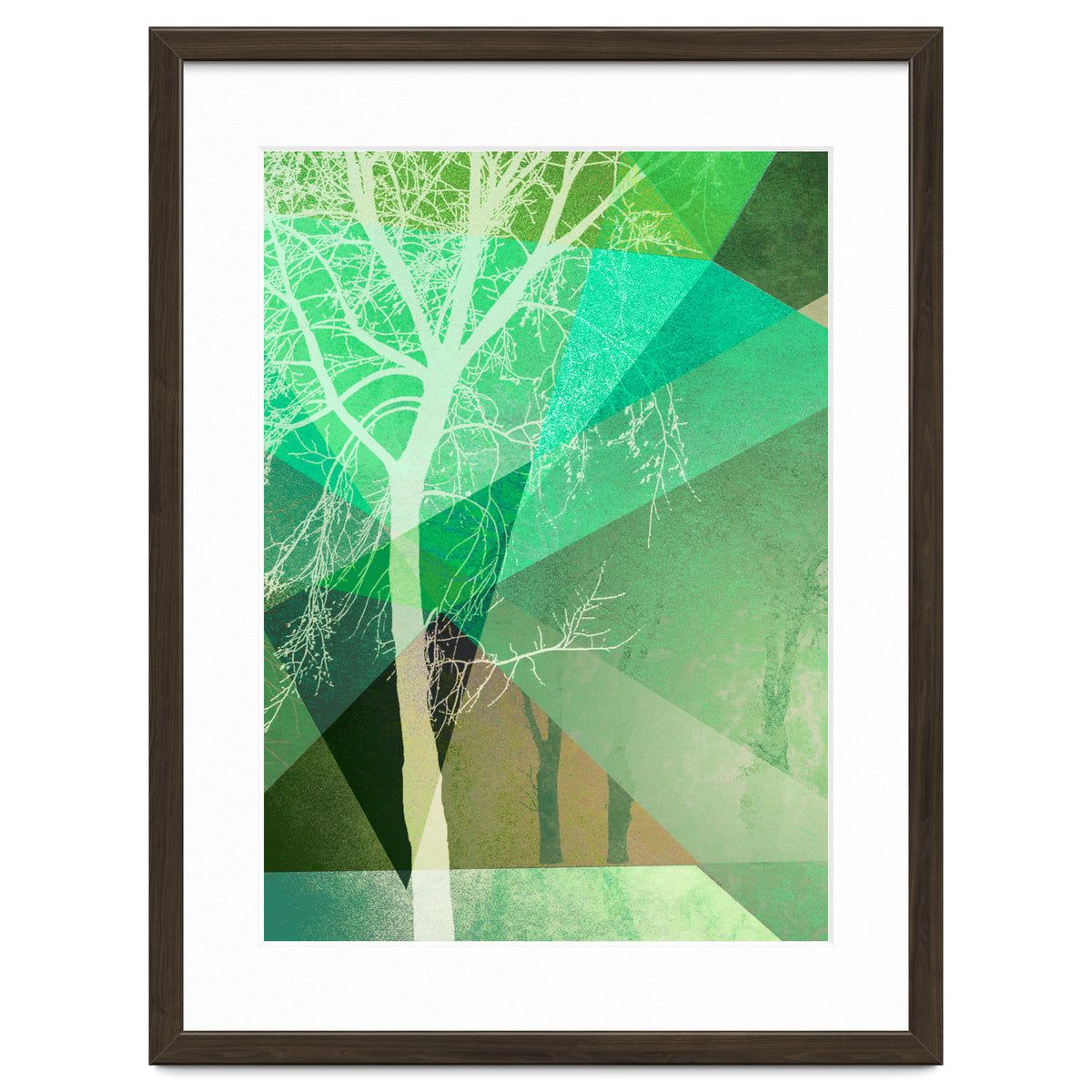 P22 B Trees And Triangles