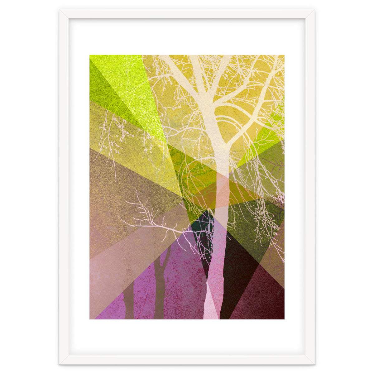 P22 A Trees And Triangles