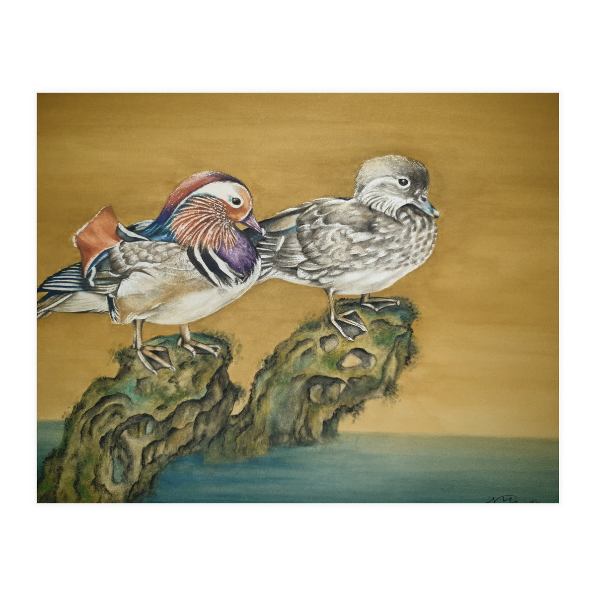 Mandarin Ducks (Print Only)