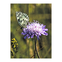 Marble white (Print Only)