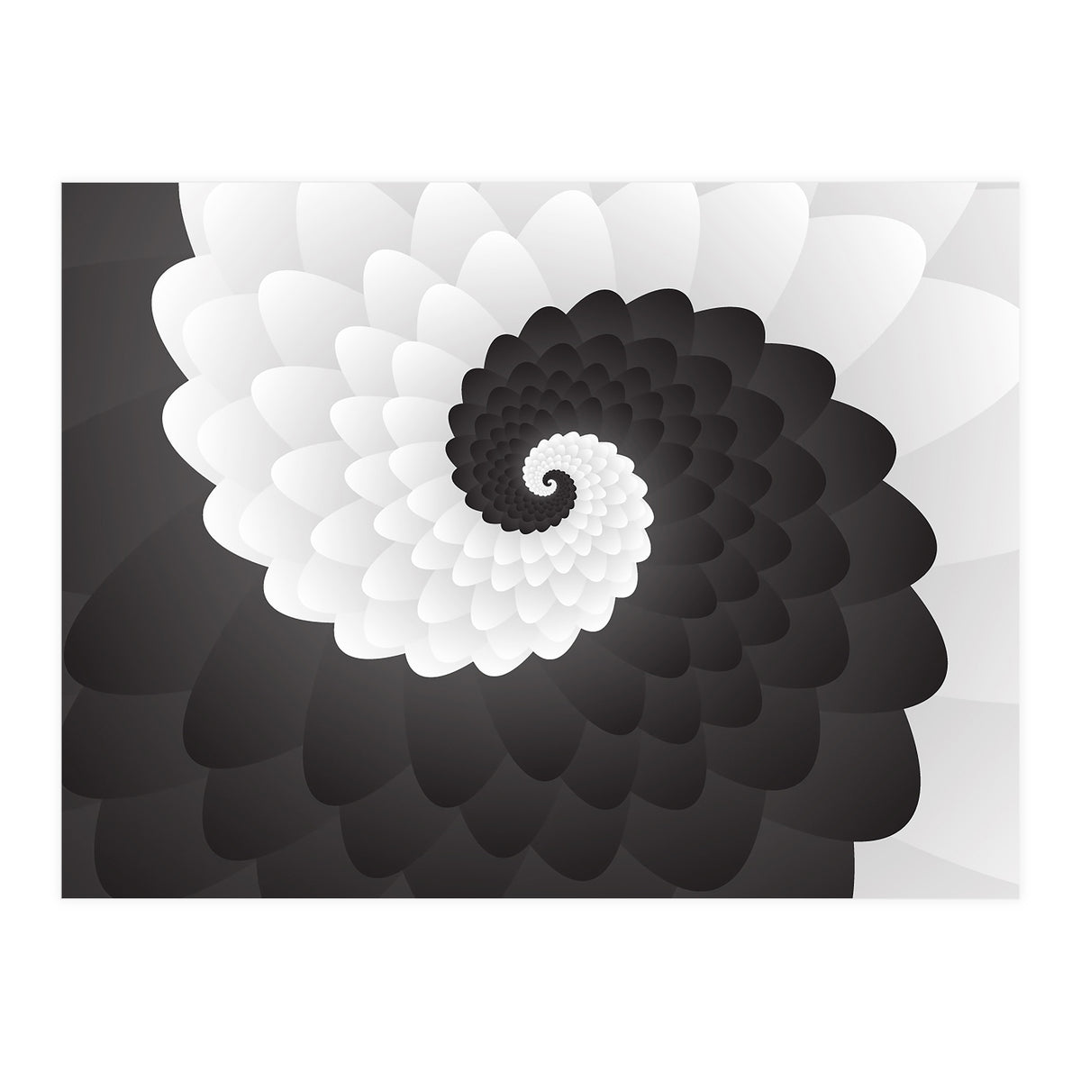 Mono Chrome Spiral Pattern  (Print Only)