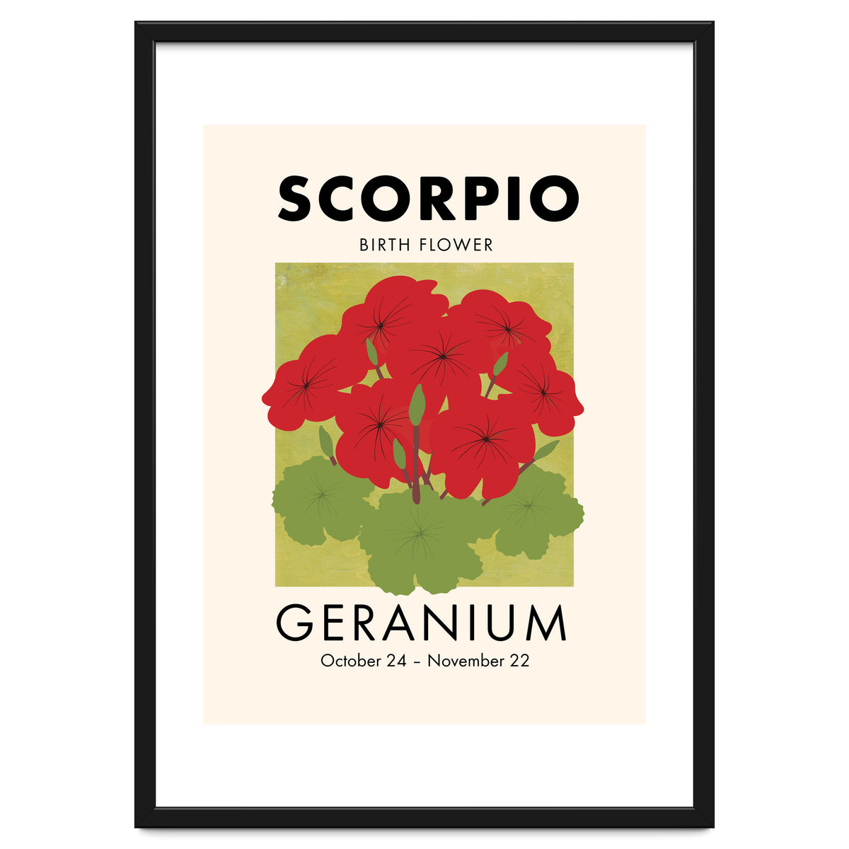 Scorpio Birth Flower Geranium