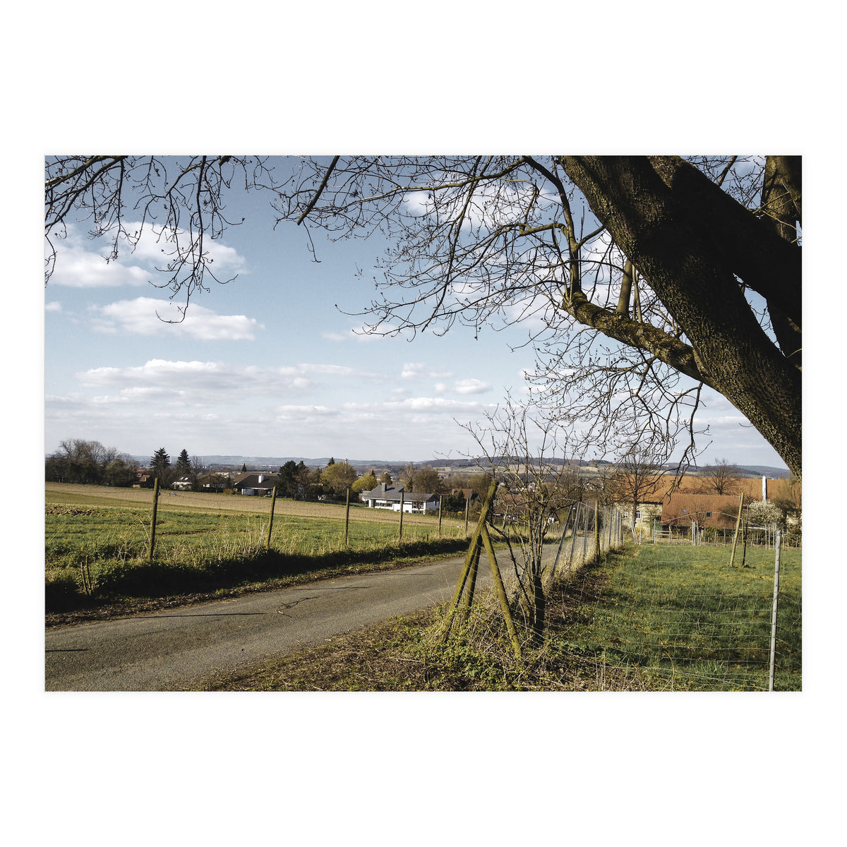 Bucolism 1 (Print Only)