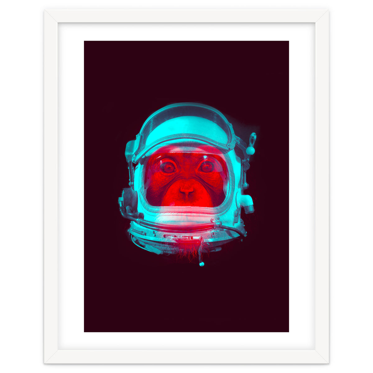 Astronaut