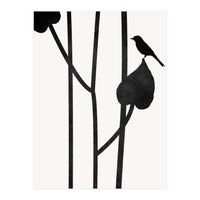 The Bird Noir (Print Only)