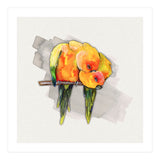 Two cuddling sun conures (Print Only) thumbnail