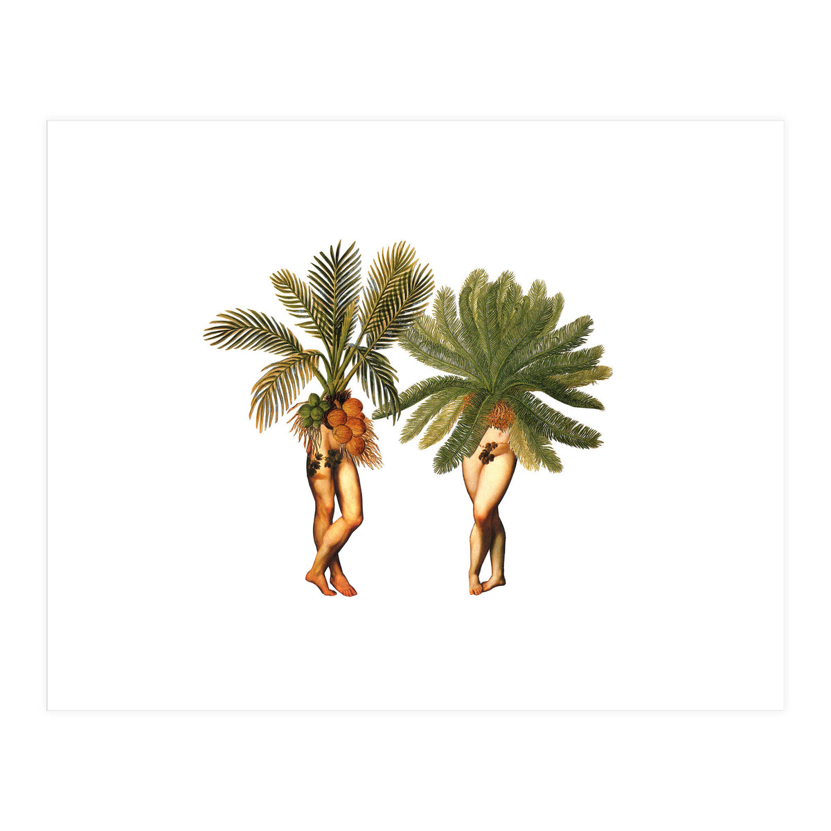 The Palms (Print Only)