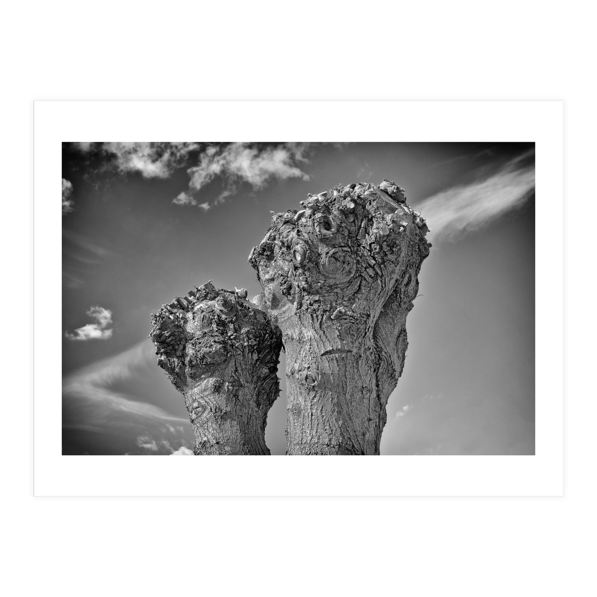 Cut down 2 (Print Only)