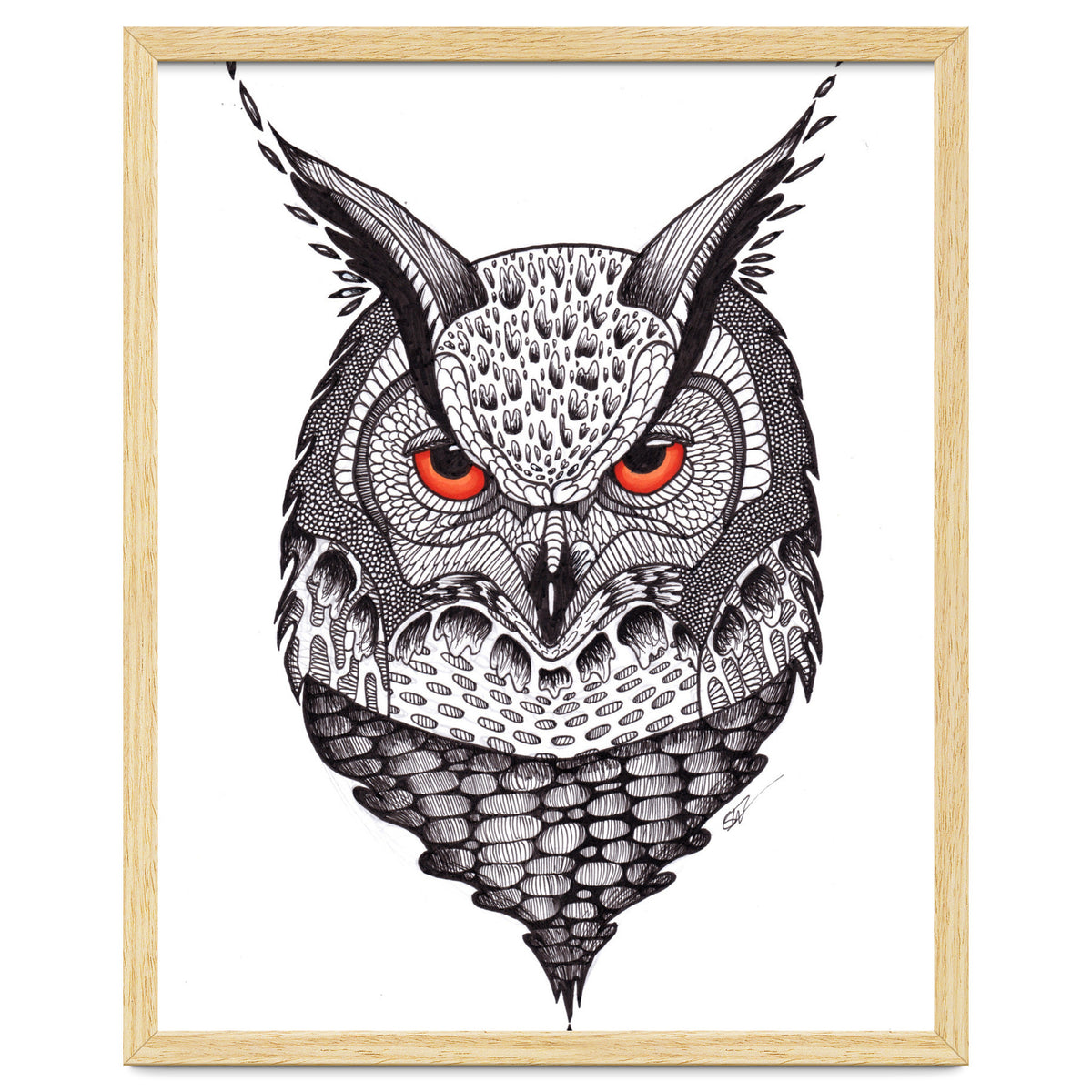 Owl
