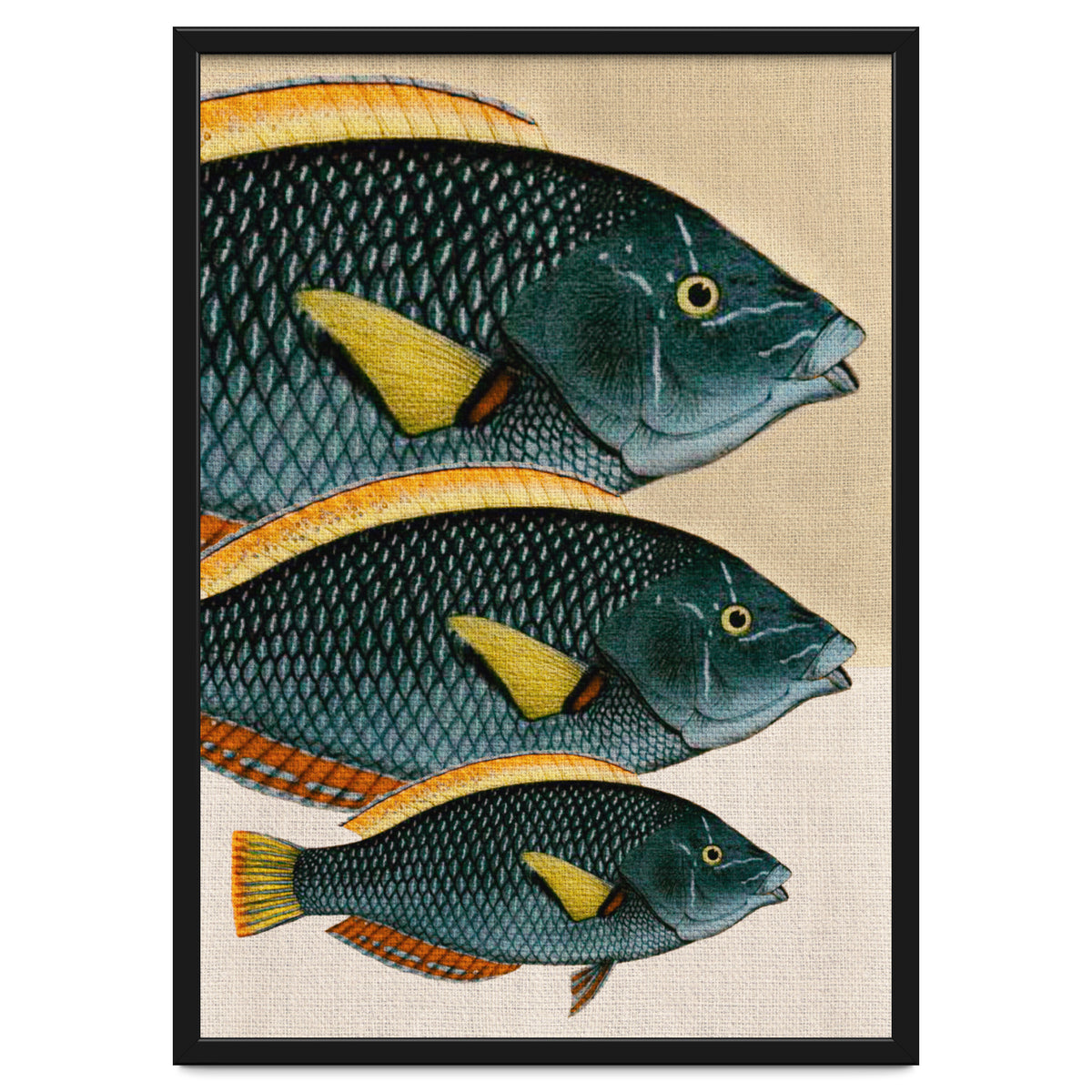 Fish Classic Designs 10