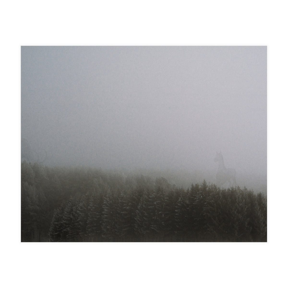 The Mist (Print Only)