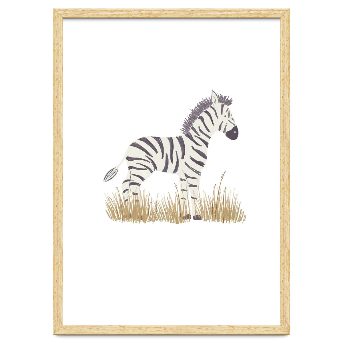 Zebra