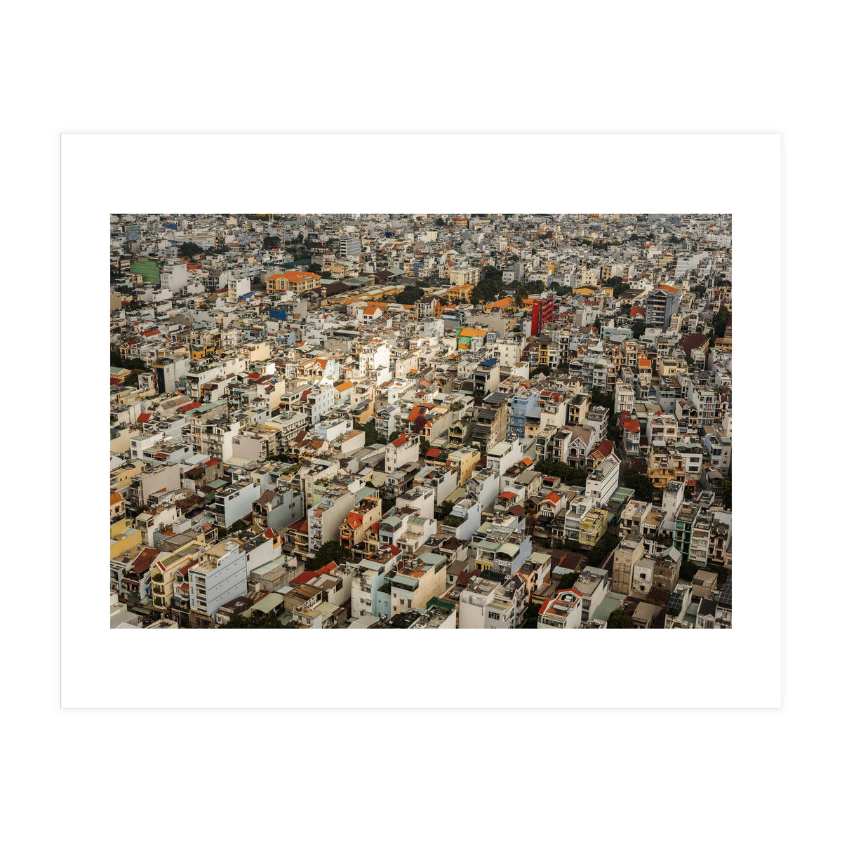 Concrete Jungle (Print Only)