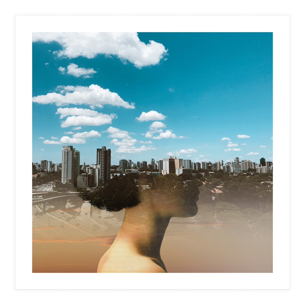 Dream Division 15 (Print Only)