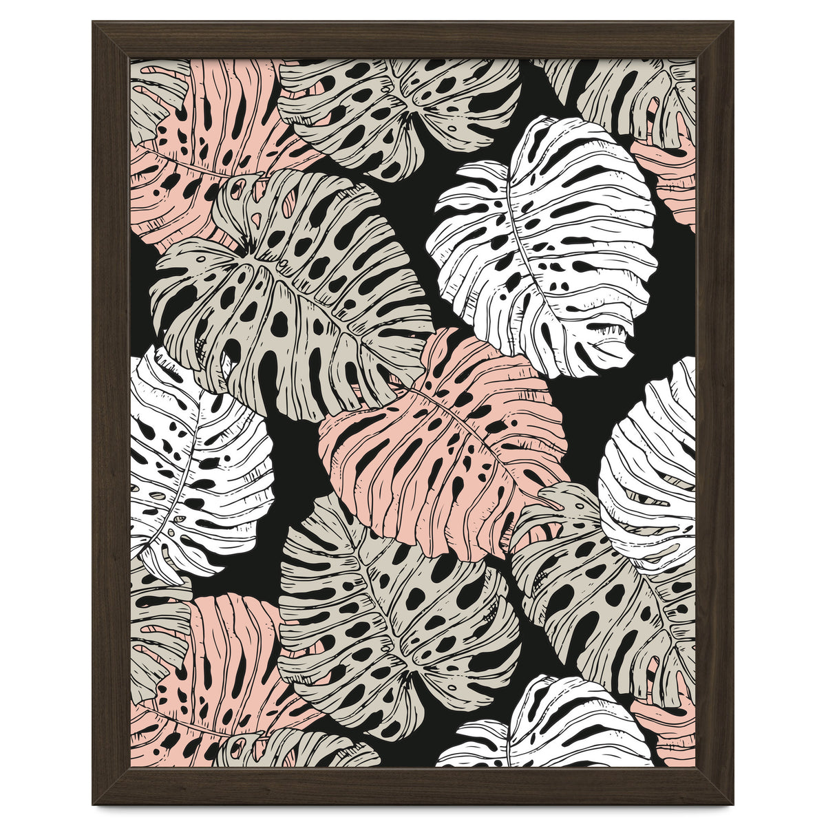 Monstera in the darkness of the jungle