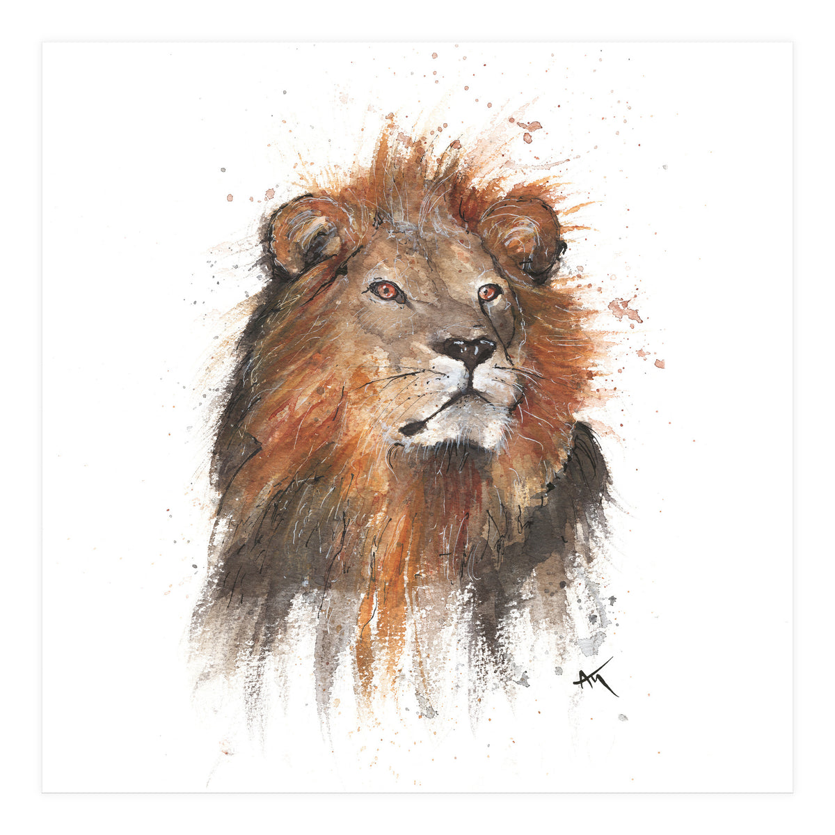 Lion - Wildlife Collection (Print Only)
