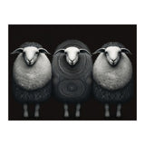 Fashion Sheep (Print Only) thumbnail