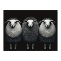 Fashion Sheep (Print Only)