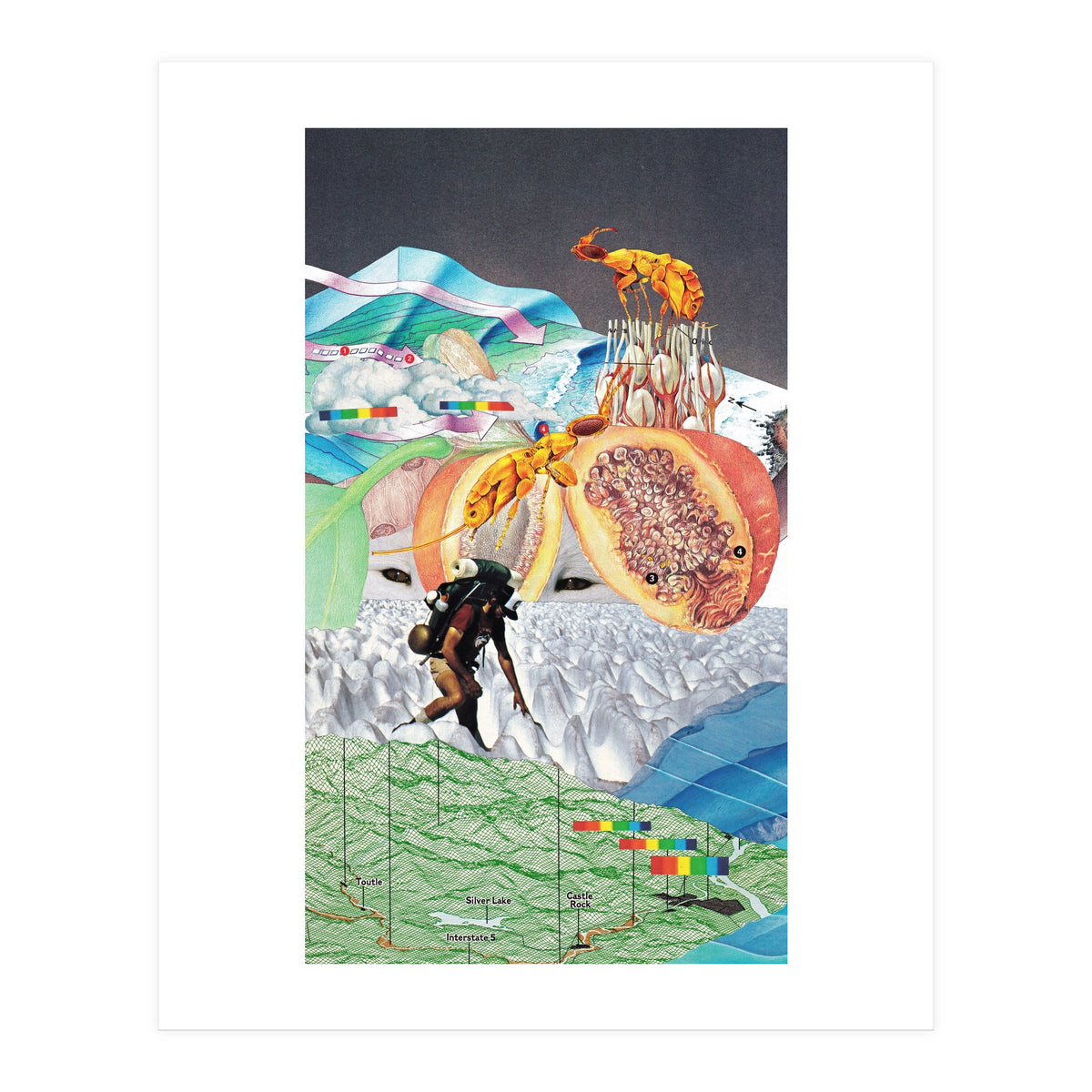 Wonderland (Print Only)