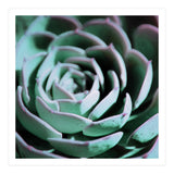 DARKSIDE OF SUCCULENTS III-A (Print Only) thumbnail