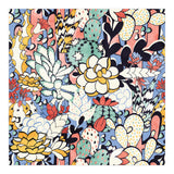 Blue Sky Succulents (Print Only) thumbnail