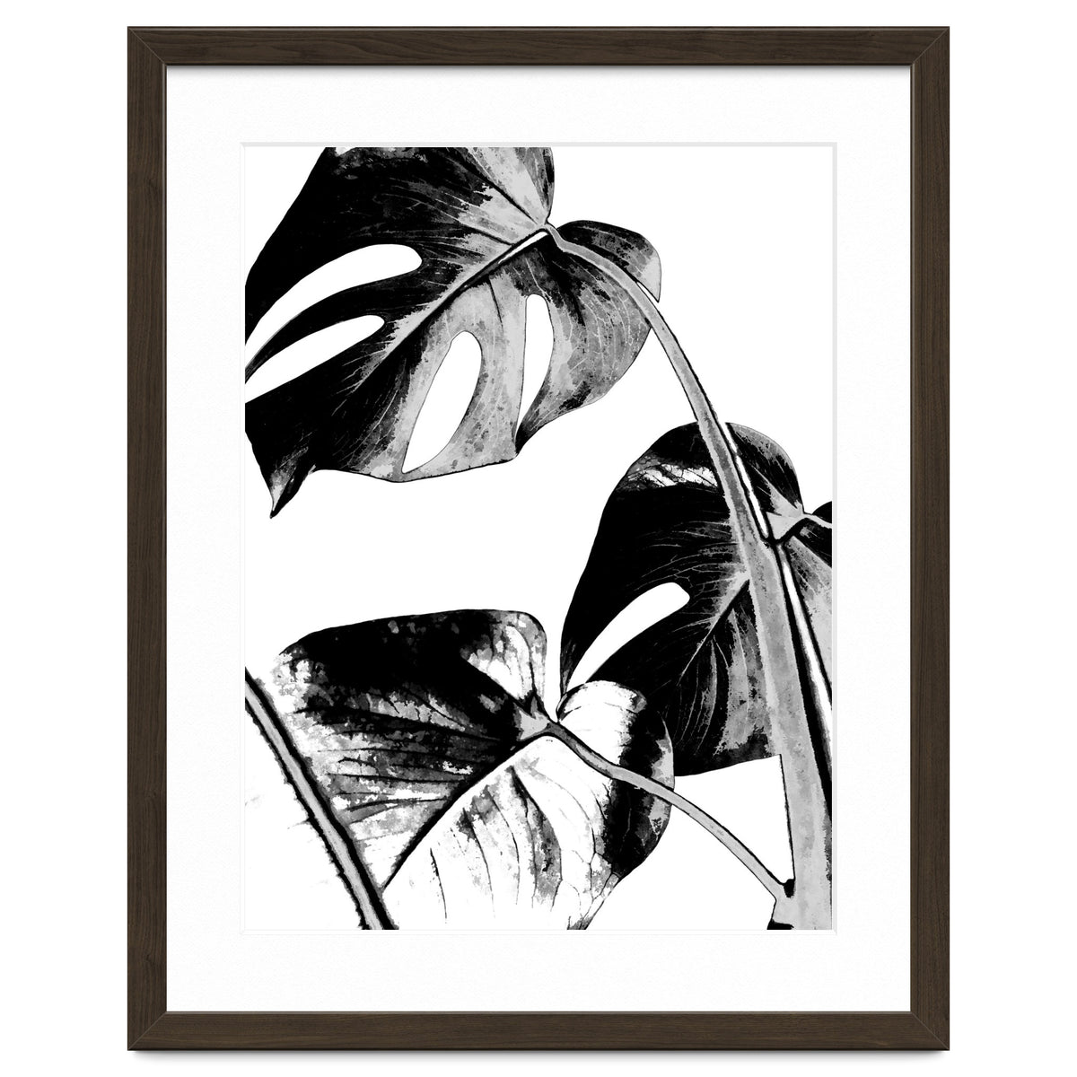 Black Tropical Leaves