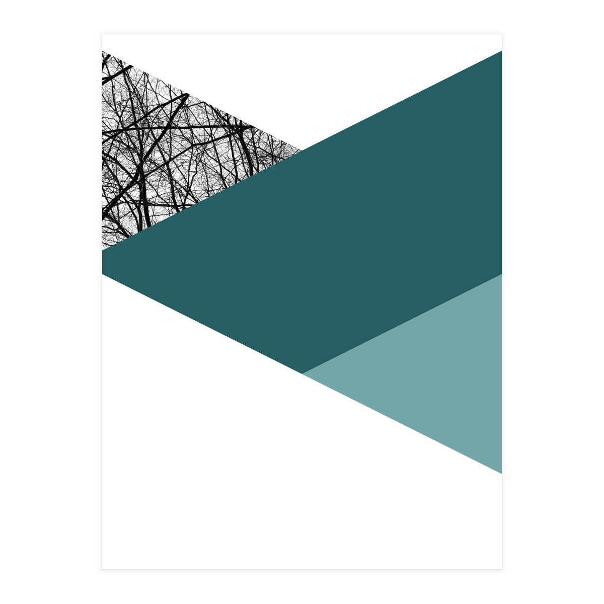 TRIWOOD I (Print Only)