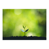 Plant in Nature (Print Only) thumbnail