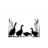 Goose talk (Print Only) thumbnail