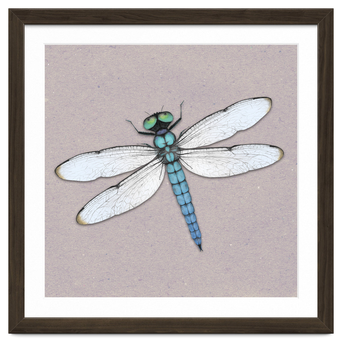 Blue dragonfly