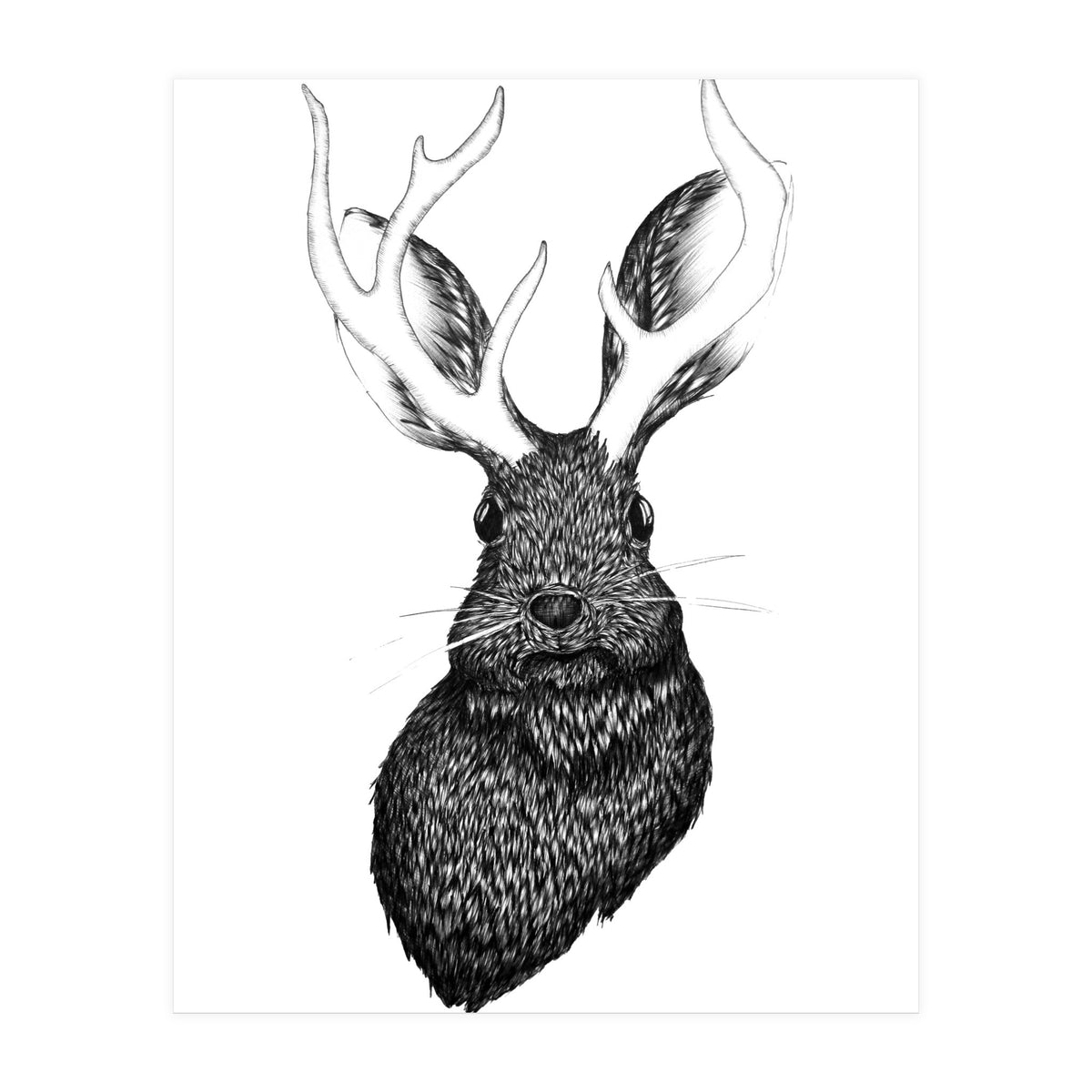 Jackalope  (Print Only)