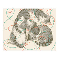 Cats (Print Only)