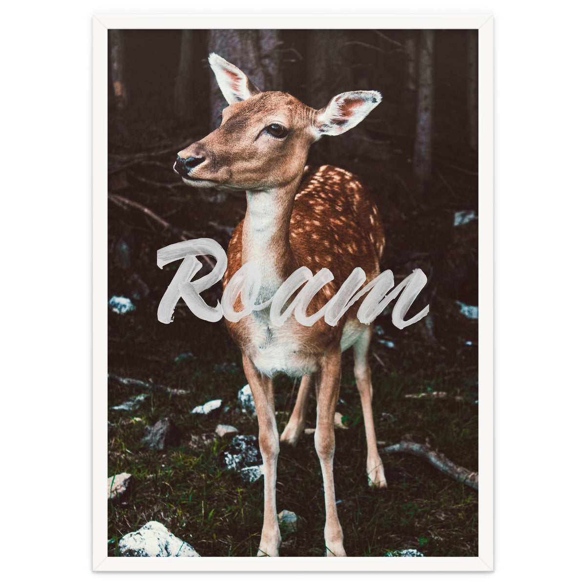 Roam