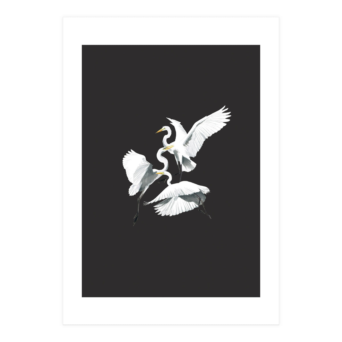 Three Heron Waltz (Print Only)