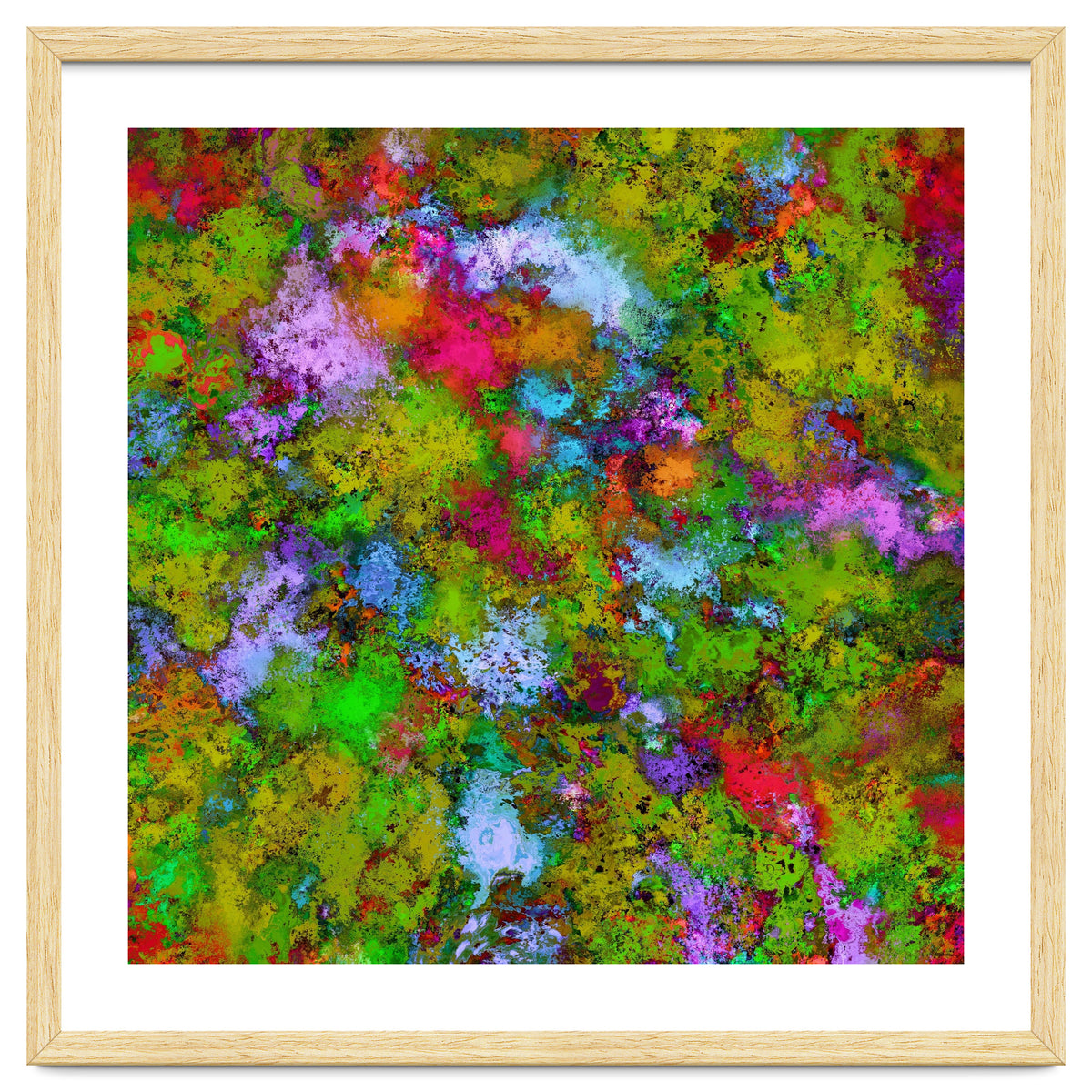 Above The Tree Canopy