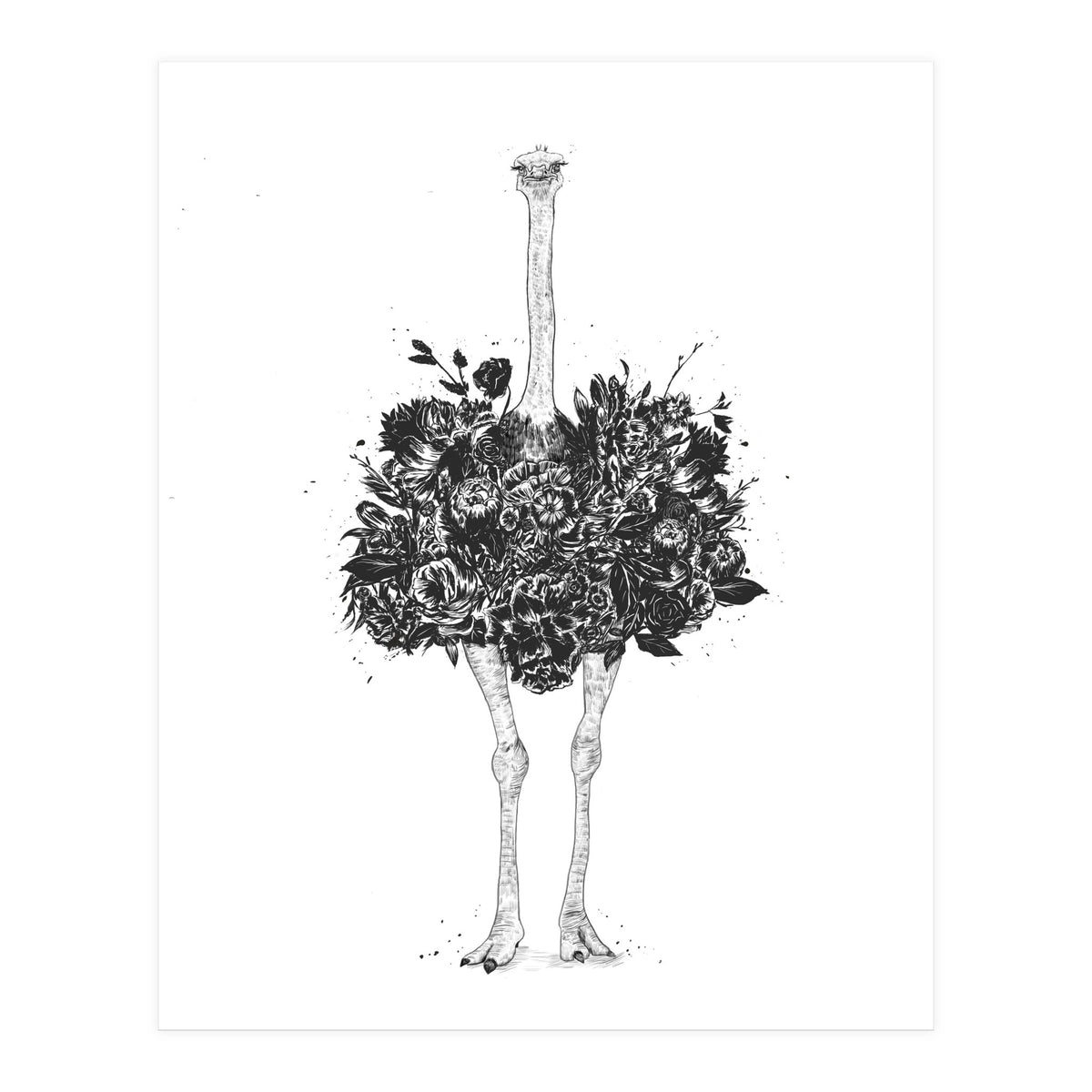 Floral Ostrich (Print Only)