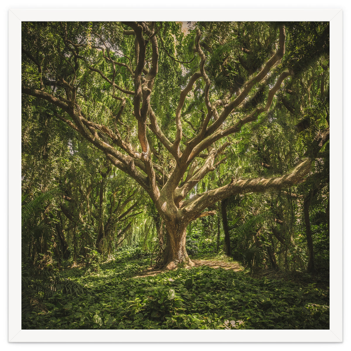 Spirits inside the wood