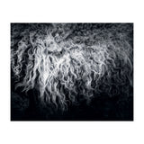 the sheep (Print Only) thumbnail
