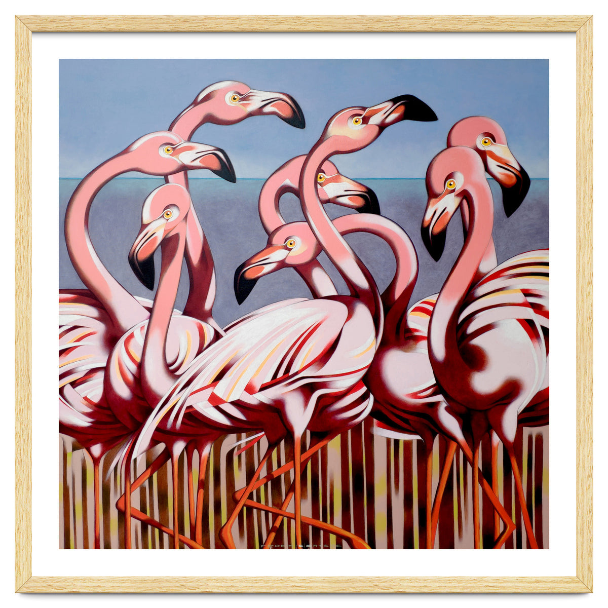 Flamingos